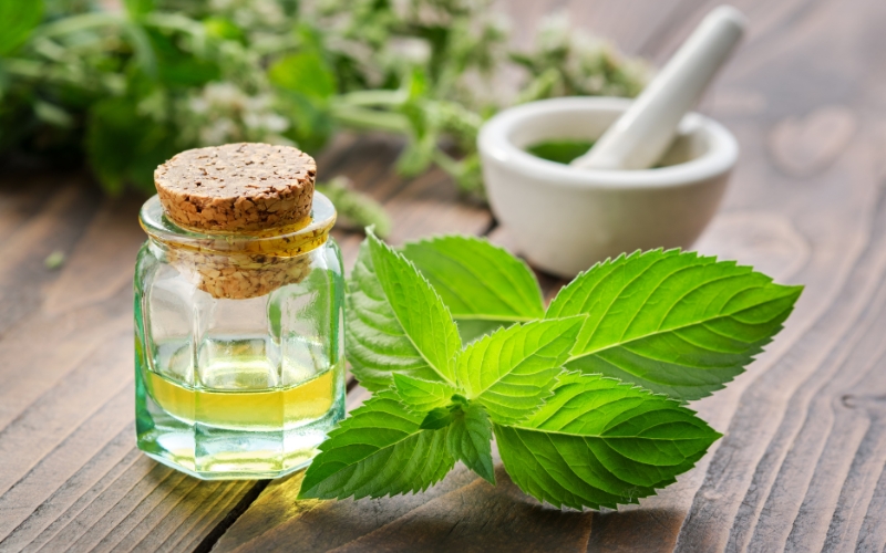 Tinh dầu giúp giảm stresss tại nơi làm việc