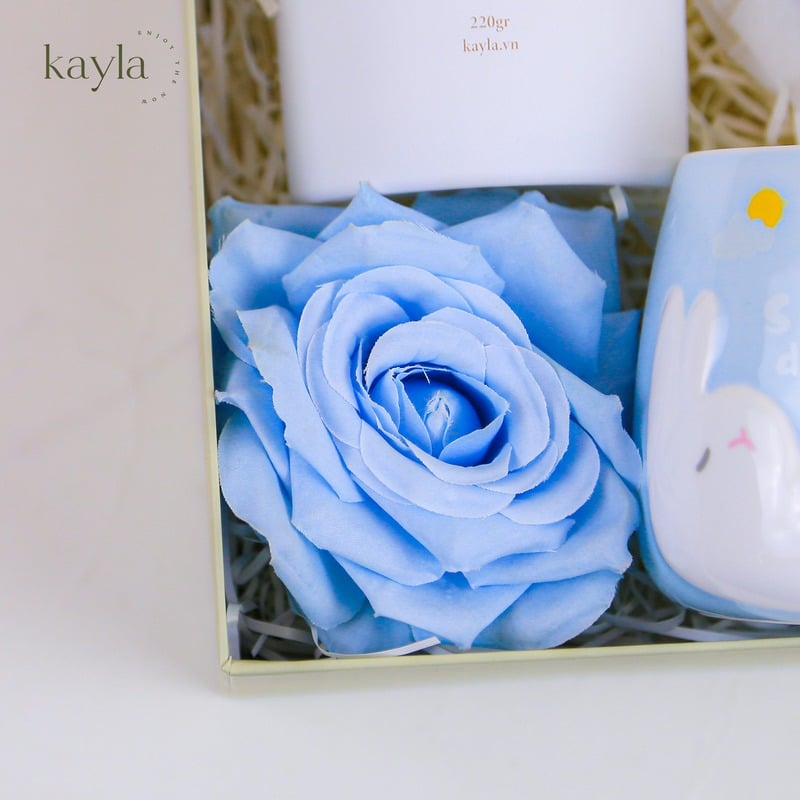 Set Quà Tặng Hương Xanh Tinh Khiết