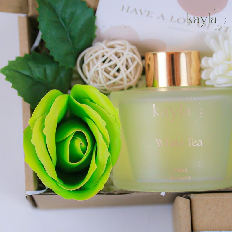 Set Quà Tặng Mùa Xanh Dịu Mát