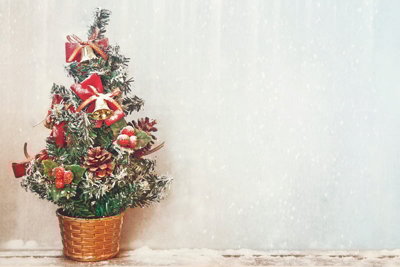 Các kiểu cây thông mini phổ biến cho không gian làm việc