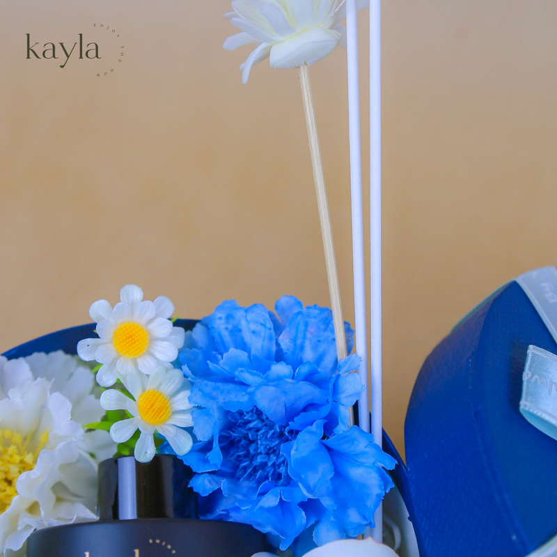 Set Quà Tinh Dầu Khuếch Tán Aqua Muse Đại Dương